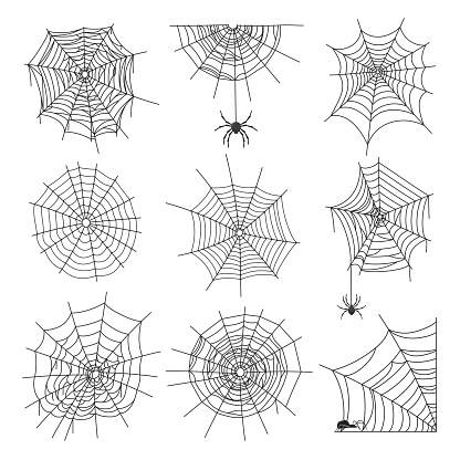 Spider webs. Halloween graphic web, black isolated cobweb and spiders. Cartoon decorative elements, tattoo or border decent vector art clipart. Illustration of halloween black silhouette spiderweb