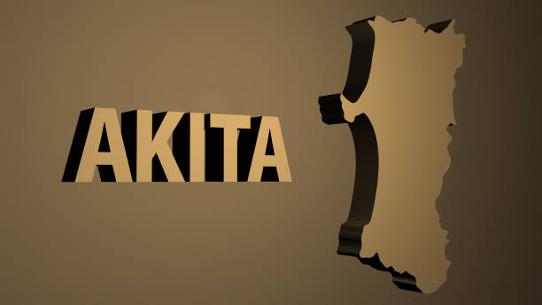 istock 3D map and topography of Akita prefecture in Japan. 1408010597