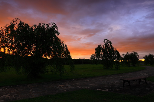 Landscape of the park at sunset