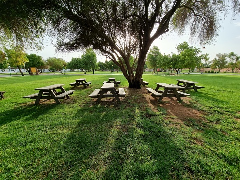 Picnic Table and Barbecue Grill at State Park