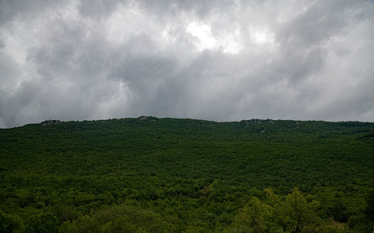 dramatic clouds hanging over the range of a green mountain forest