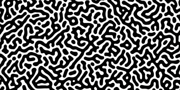 Turing reaction diffusionseamless pattern with chaotic motion Turing reaction diffusion seamless pattern with chaotic motion. Black and white natural background with organic structures. Vector illustration of chemical morphogenesis concept. Doodle labyrinth animal internal organ stock illustrations