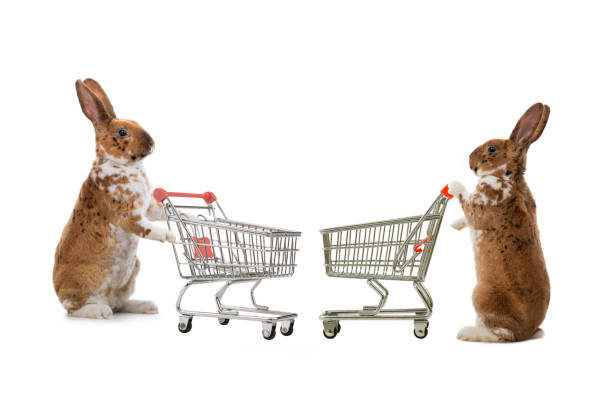 istock two rabbit stands with supermarket basket isolated 1408019274