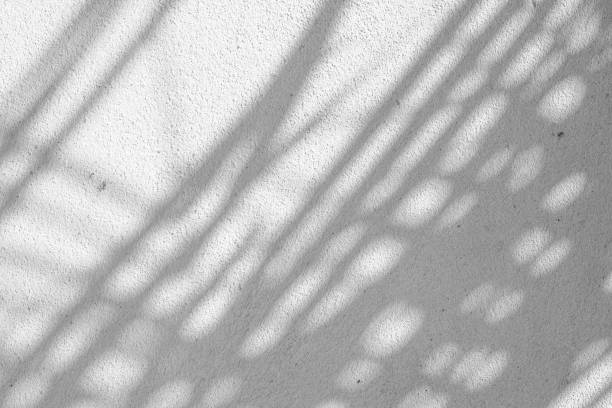 istock Black and White abstract background texture of shadows leaf on a concrete wall. 1408020516