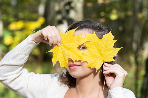 Beautiful happy young woman eye looking through yellow maple leaves in autumn park