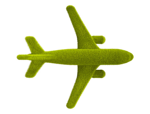 istock Airplane made of grass, isolated on white background 1408021213