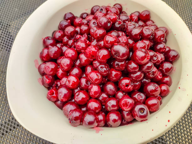 a bowl full of ripe red pitted tart cherries for freezing, compotes, or baking in cakes stock photo