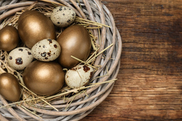 istock Quail and golden eggs in nest on wooden table, top view. Space for text 1408024377