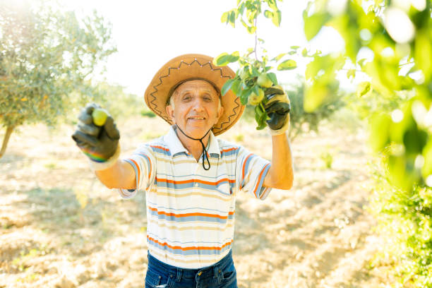 the old man who works in the garden