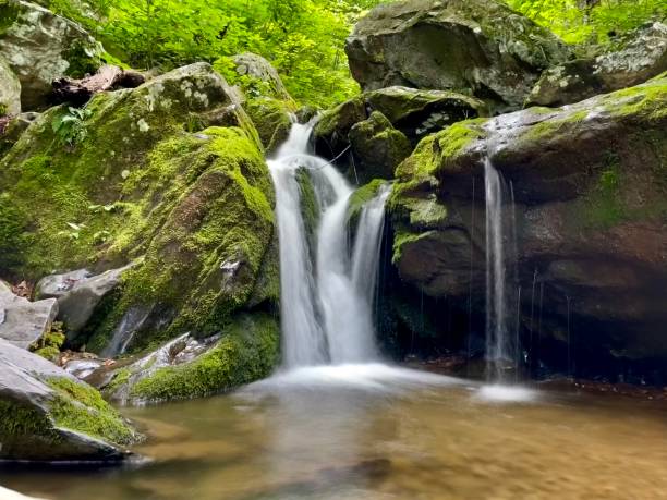 Shenandoah National Park - Dark Hallow - Wilderness Landscape
