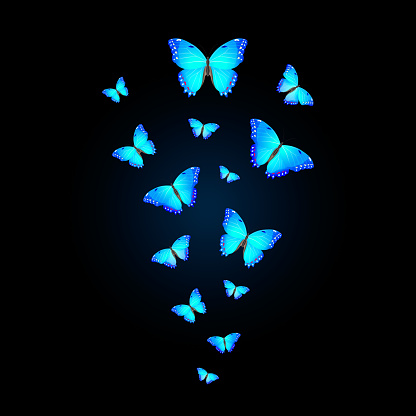 flock of bright blue butterflies on a black background