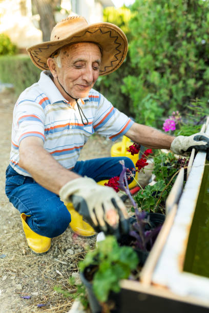 istock Mature gardener planting flowers 1408029284