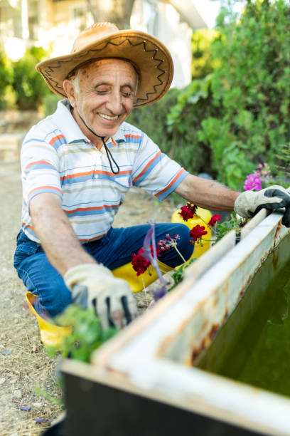 istock Mature gardener planting flowers 1408029465