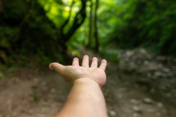 istock A man's hand reaches out to the forest, palm up 1408030749