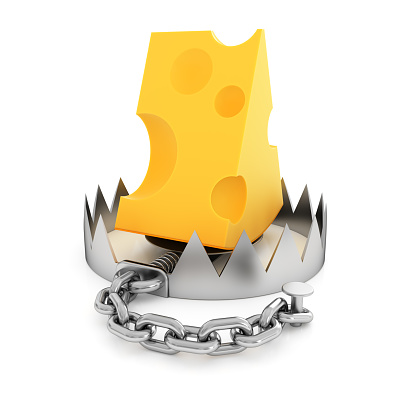 Stainless steel bear trap with piece of cheese isolated on white background. The concept of free cheese in the trap.