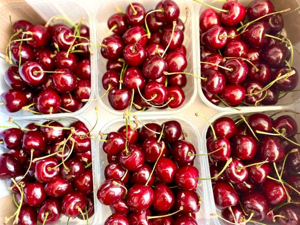 istock Cherry fruit closeup of fresh cherry fruit 1408036957