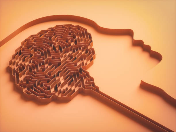 Brain Maze Cerebral Behavior Concept stock photo
