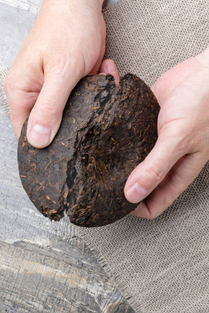 istock Men's hands break a disc of black pressed Chinese pu-erh tea 1408040346