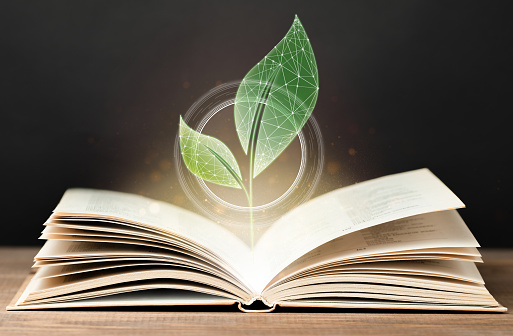 a digital hologram in the form of a young plant grows out of an open book