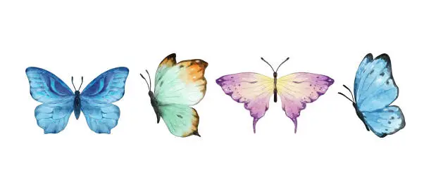 Vector illustration of Digital Painting Colorful butterflies watercolor isolated on white background. Green, yellow, blue and pink butterfly. Spring animal vector illustration