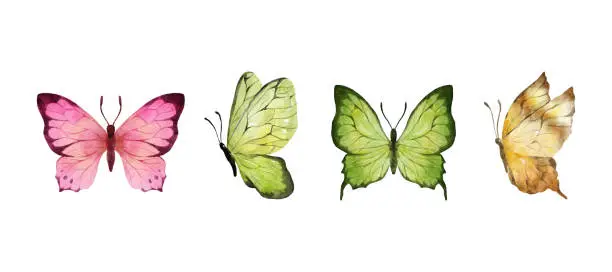 Vector illustration of Digital Painting Colorful butterflies watercolor isolated on white background. Pink, green, brown, yellow butterfly. Spring animal vector illustration