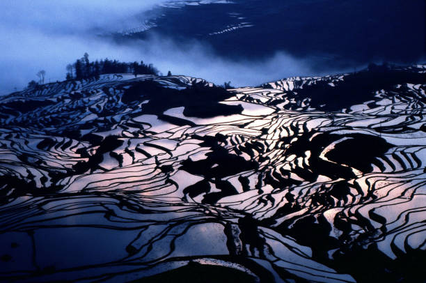 istock Mountain terraces at sunrise 1408044247