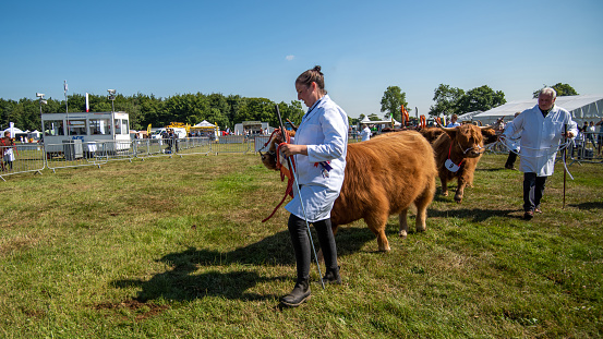 Kent County Show re-opened for the first time on July 8th 2022.  This is a series of images show just before the gates opened through to the first show jumping and cattle classes.  Although shot in Kent, the scenes will be common to all agriculture shows throughout the UK in 2022 / 23..