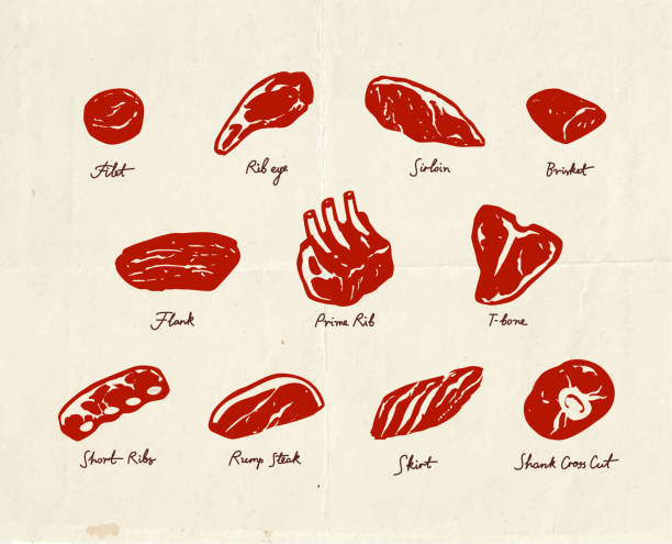 Hand drawn beef cuts icons Beef cuts guide for butcher shop, hand drawn meat icons, menu template for barbecue restaurant, vintage style illustration roasted prime rib illustrations stock illustrations