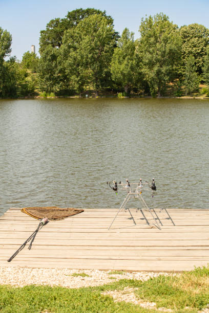 Landing net by a rod pod with bite indicators holding carp fishing rods armed with strong reels on a wooden pier on an European lake bordered by trees during summer. stock photo