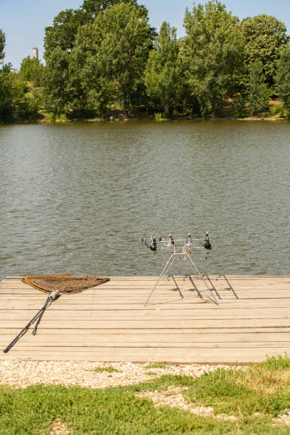 Landing net by a rod pod with bite indicators holding carp fishing rods armed with strong reels on a wooden pier on an European lake bordered by trees during summer. stock photo