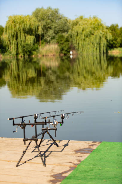 Rod pod with bite indicators holding carp fishing rods armed with strong reels on a wooden pier on an European lake bordered by trees during summer. stock photo