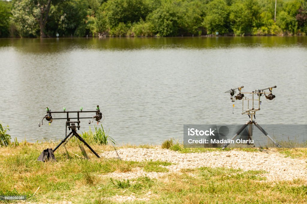 Rod pods with bite indicators holding carp fishing rods armed with strong reels on a fishing stand with gravel on an European lake bordered by trees during summer. Modern recreational carp fishing involves a wide range of tools and gadgets, from rod pods and bite indicators to performance rods able to launch the bait at longer distances. Adventure Stock Photo