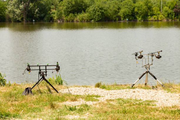 Rod pods with bite indicators holding carp fishing rods armed with strong reels on a fishing stand with gravel on an European lake bordered by trees during summer. stock photo
