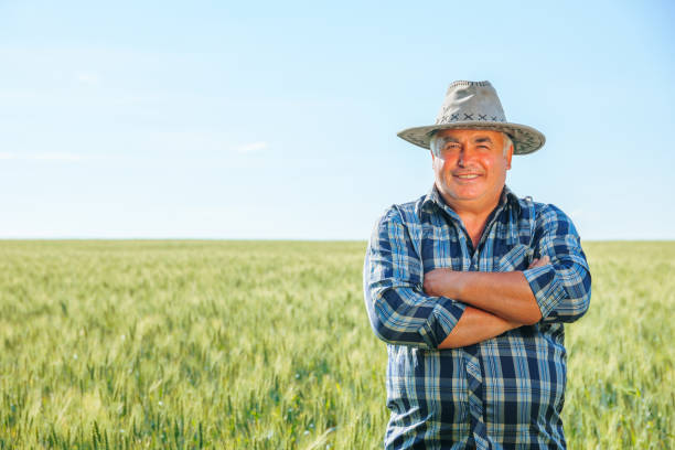 istock Happy senior farmer standing in field 1408053693