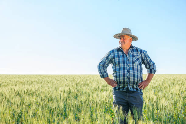 istock Wistful farmer standing in field 1408053704
