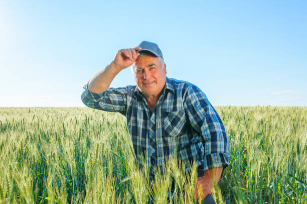 istock Elderly worker sitting in agricultural field 1408053715