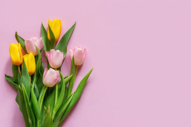 istock bouquet of tulips on a pink background with space for text 1408055111