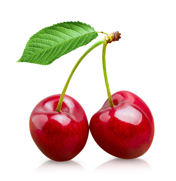 dwa owoce wiśni wyizolowane na białym tle - sour cherry zdjęcia i obrazy z banku zdjęć