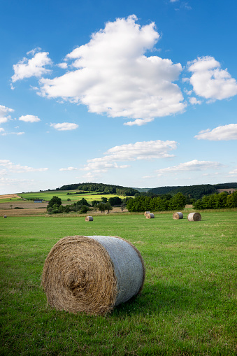 countryside landscape of belgian ardennes region near han sur lesse and rochefort on summer evening with hay bales under blue sky with forest hill in the background