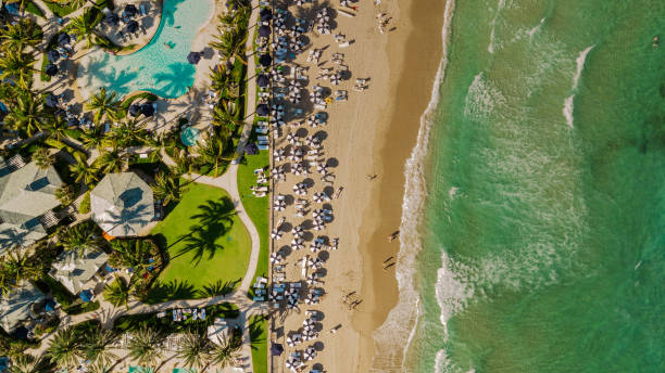 vista aérea de drones directamente sobre una playa llena de sombrillas de playa azules en la costa de arena en palm beach, florida al mediodía durante la primavera de 2022 - beach florida atlantic ocean wave fotografías e imágenes de stock