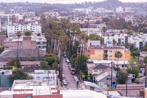 istock Palm Trees line Carlton Way in Los Angeles 1408060440