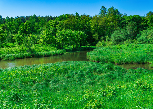 small forest river between banks with fen-meadows
