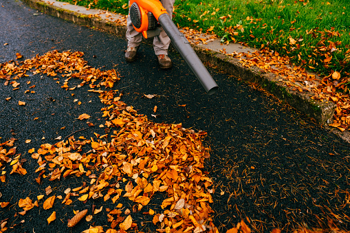 Woman using a leaf blower in the autumn to clear her driveway.