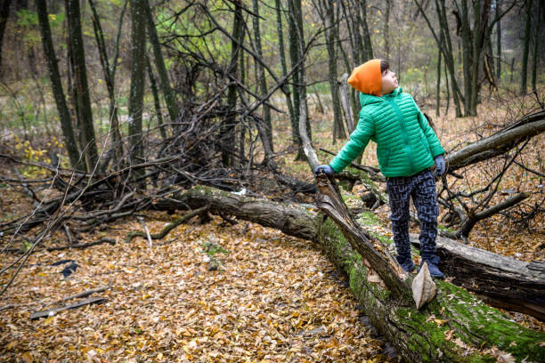 istock A child walking across a fallen tree going across a river in the 1408061697