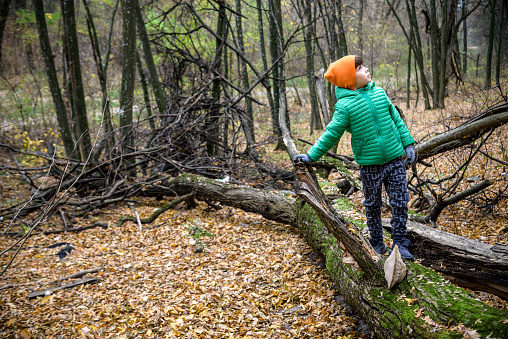 A child walking across a fallen tree going across a river in the woods. Boy spend weekend in autumn forest wearing warm colorful clothes.