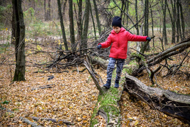 istock A child walking across a fallen tree going across a river in the 1408061733
