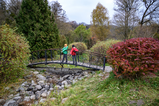 Portrait of two boys kid a walk over a bridge and looking down, child walking outside, Young boys relaxing outdoors in autumn on bridge. Tourism concept.