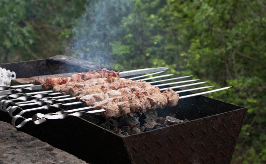 cooking barbecue on the grill in summer