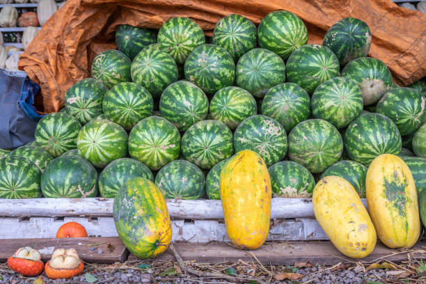 istock Watermelon pattern in public market, Bahia, Brazil 1408066173