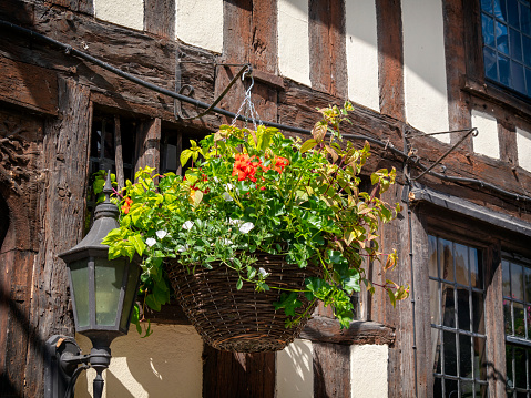 A basket of flowering plants hanging outside a medieval building in the pretty village of Kersey in Suffolk, eastern England.